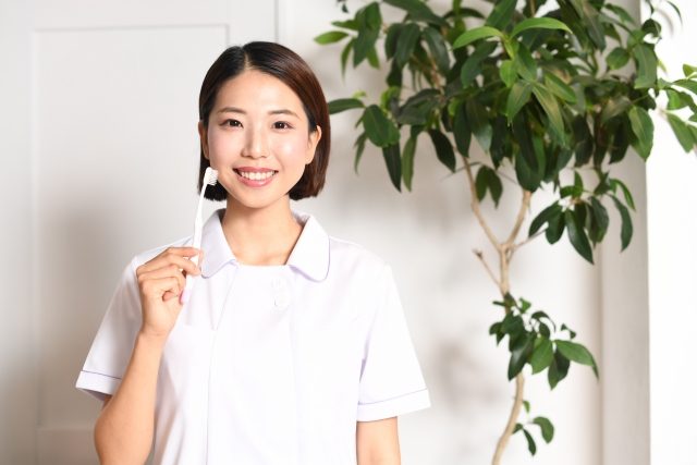 複数の治療の選択肢を説明する歯科スタッフ